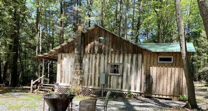 Creekside Log Cabin w/firepit, near quaint towns Thomas/Davis & many state parks