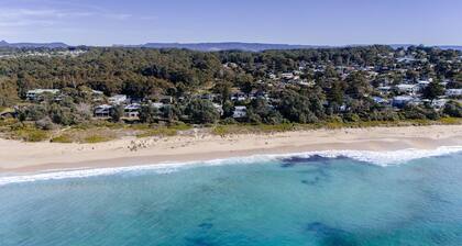 Pandanas 17B at Mollymook Beach