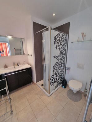 Shower, hair dryer, towels