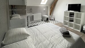 A bedroom with a bed, a TV, a mirror, a window, and a bathroom. - House near nogent sur Seine (Crancey)