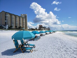 A beach with rows of blue beach chairs and umbrellas, a sandy shore, and tall buildings in the background.