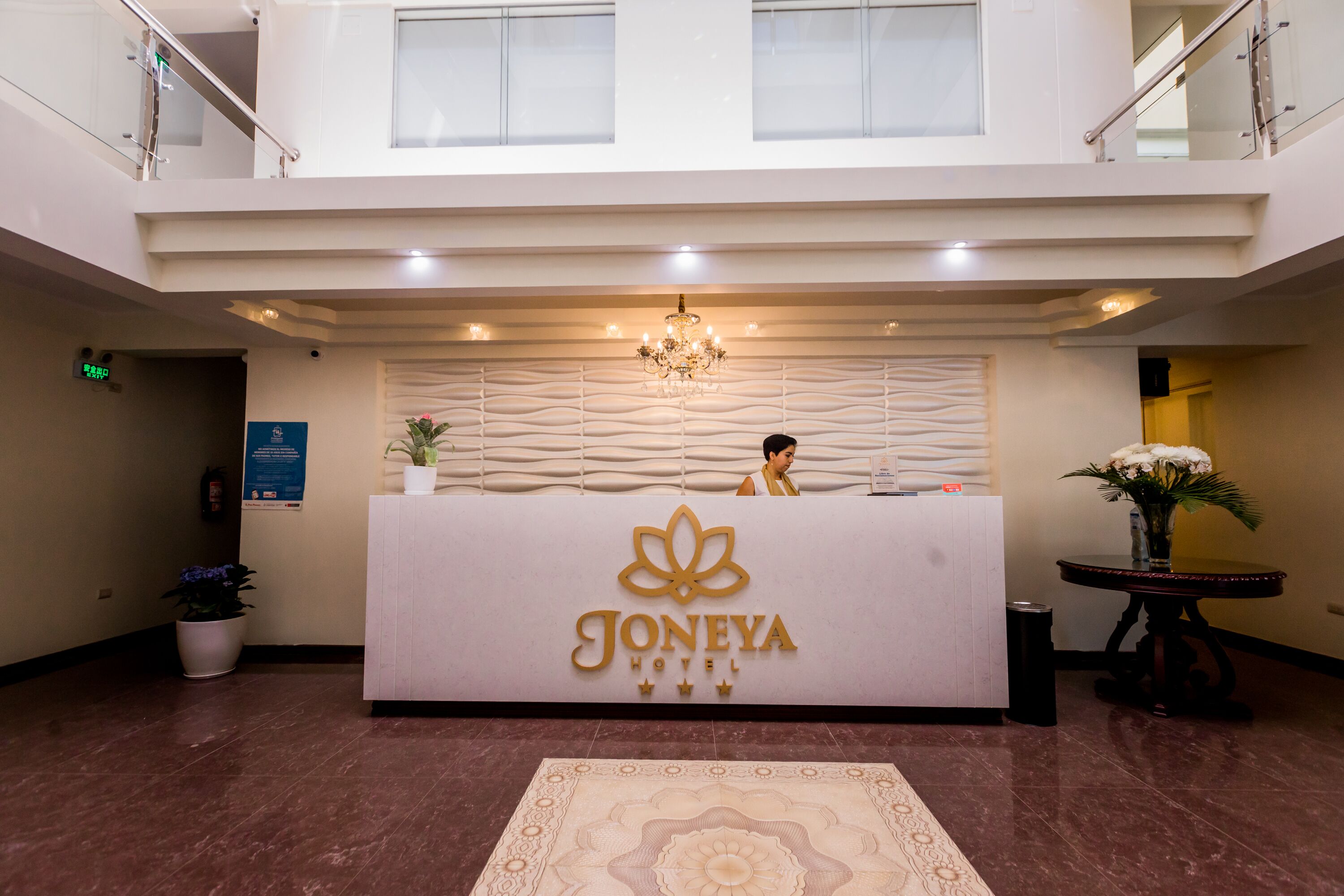 Mostrador de recepción en el Hotel Joneya con diseño moderno, una araña y plantas en macetas.