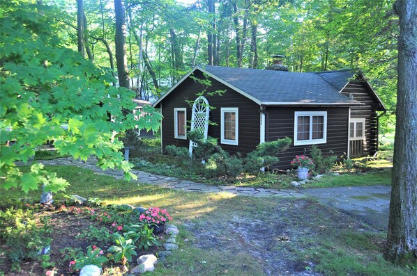 A rustic cabin surrounded by lush greenery and a stone pathway.