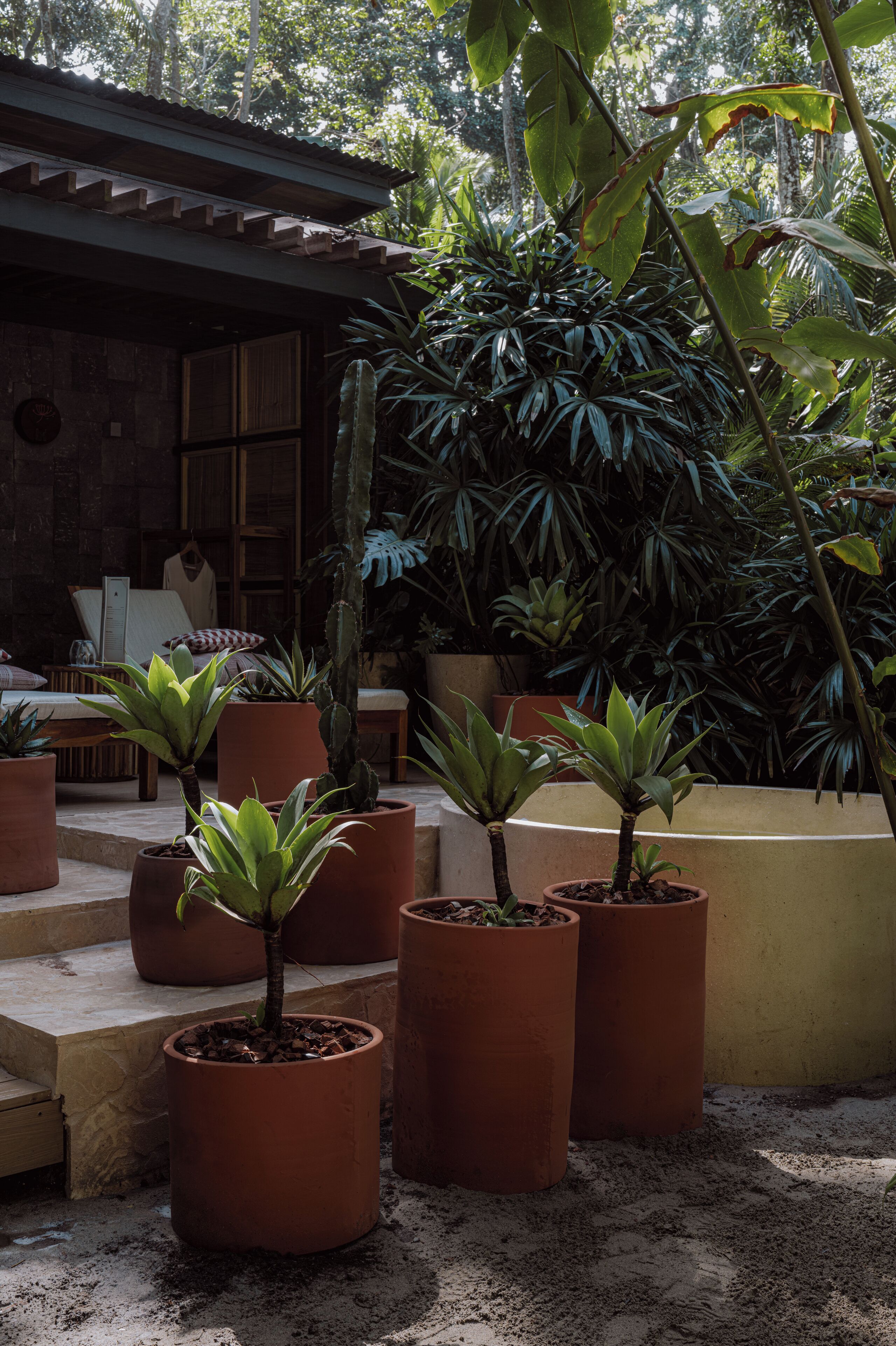 A garden with potted plants and a wooden structure with steps leading up to it.