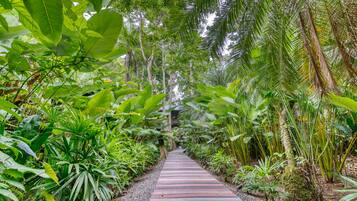 Un sendero bordeado por exuberante vegetación tropical que conduce a una edificación.