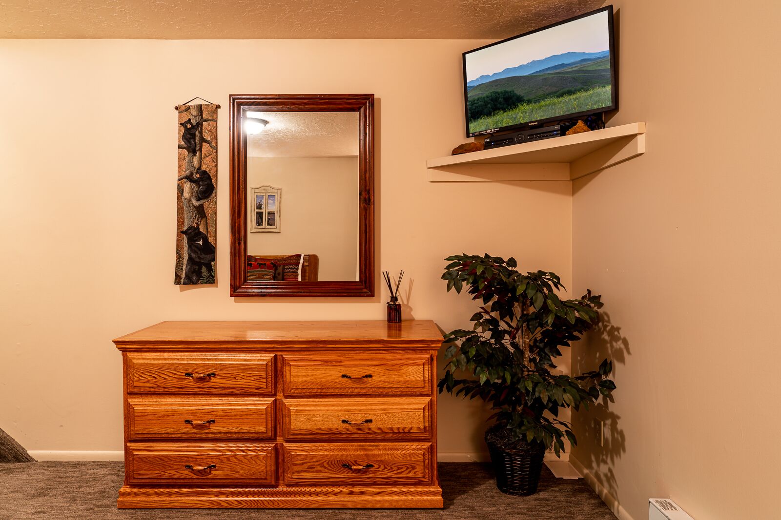 A wooden dresser with drawers, a mirror, a television on a shelf, and a potted plant.