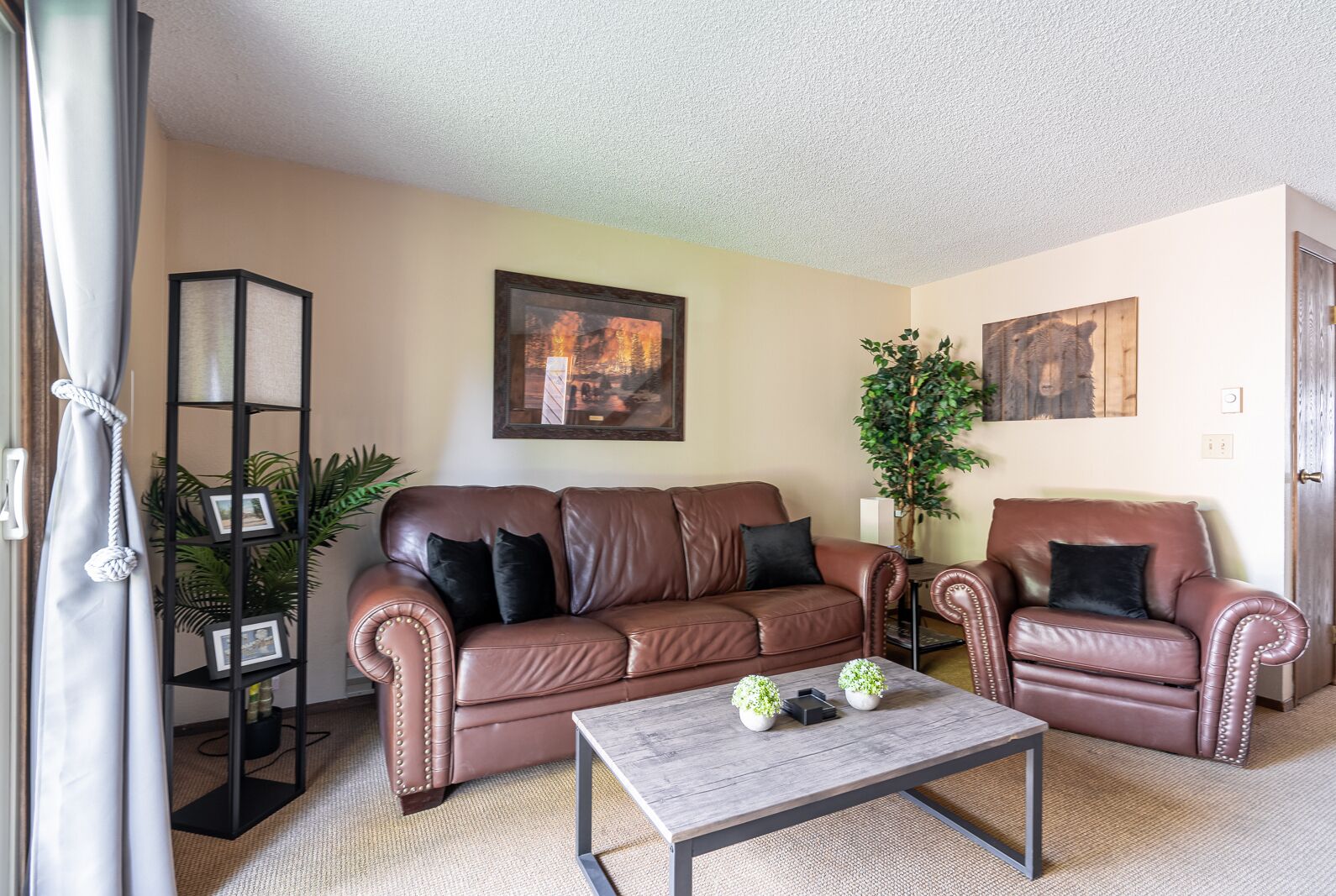 Townhome | Living area | 46-inch flat-screen TV with satellite channels, TV, fireplace
