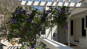 Eine weiße Pergola mit einer Kletterpflanze, die violette Blüten trägt.