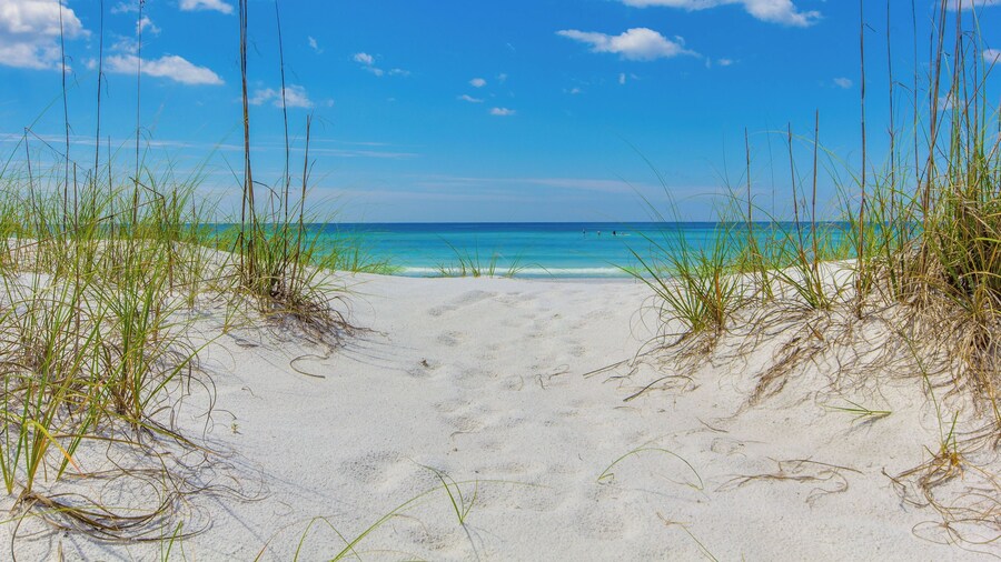 Next To Pier Park! Steps From the Beach! Dog-friendly! Pool!