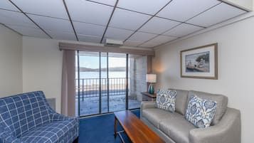 TV, fireplace, video games, DVD player