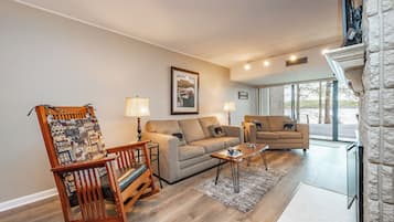 TV, fireplace, video games, DVD player