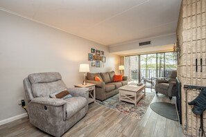 TV, fireplace, video games, DVD player