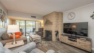 TV, fireplace, video games, DVD player