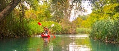 Paseos en kayak