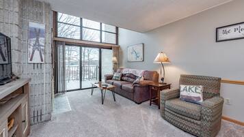 TV, fireplace, video games, DVD player