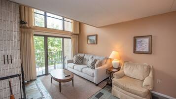 TV, fireplace, video games, DVD player