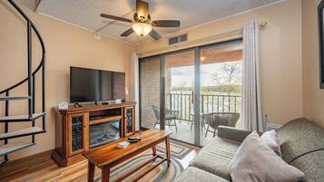 Televisión, chimenea, videojuegos y reproductor de DVD