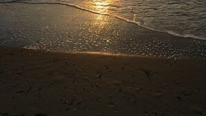 A beach with the sun setting over the horizon, reflecting on the water. - Waterfront, Large deck, Pet friendly, Golf cart, Screened in porch. (Myrtle Beach)