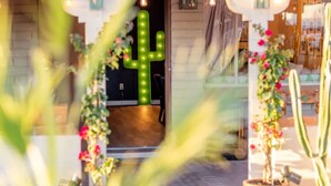 A cactus-shaped light installation at the entrance of a building, surrounded by potted plants and flowers. - Little Gem - Thoughtfully Curated Desert Escape (Tucson)