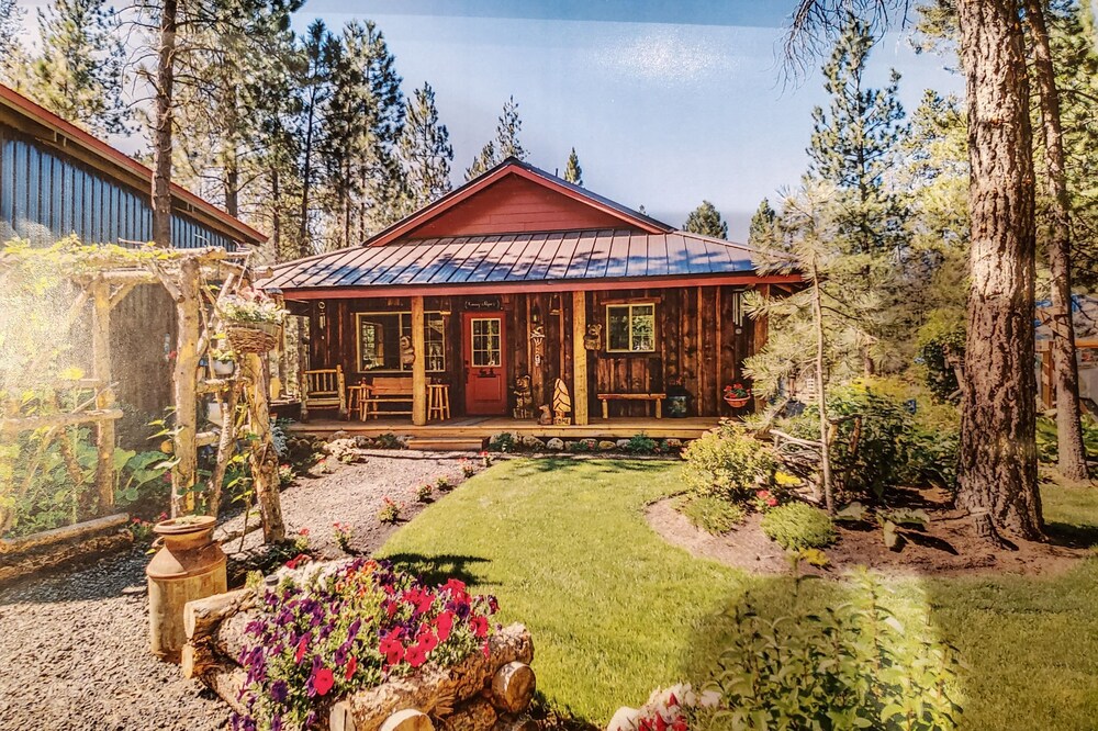 Pinecone Cabin Retreat, pet friendly, Hot Tub, trails!