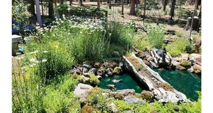Pinecone Cabin, Couples, hot tub, pet friendly, fenced, trails, private!