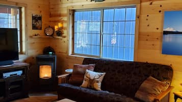 Smart TV, fireplace, books, stereo