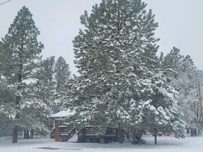 Exterior - Cozy Two Bedroom Cabin with Fireplace! (Lakeside)