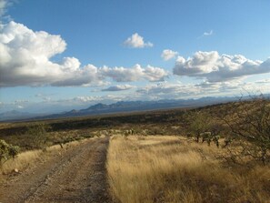 A desert landscape with a dirt path leading through sparse vegetation and distant mountains under a partly cloudy sky.