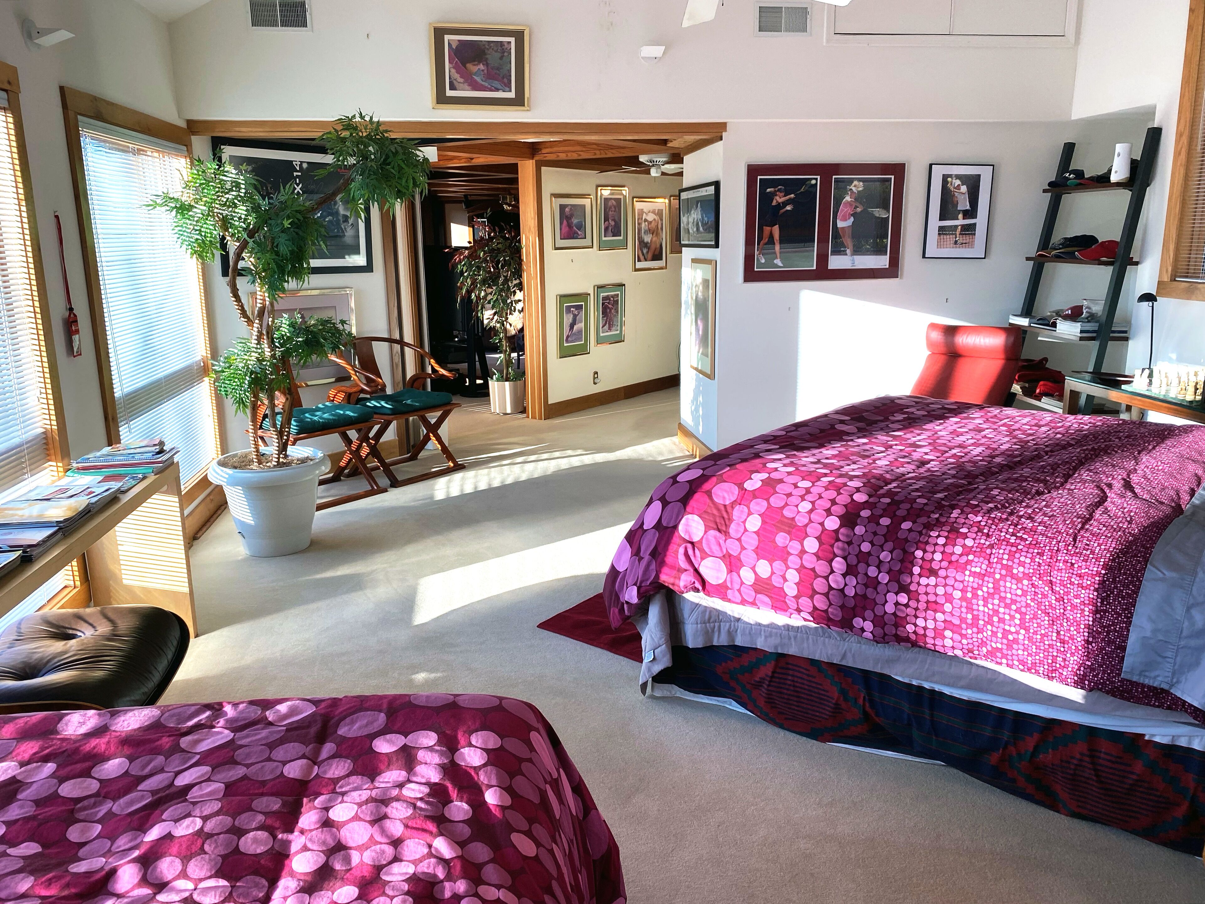 Treehouse on the Hill