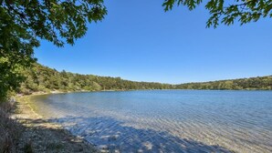 Klar udsigt over et søområde omgivet af tæt skov, med en tydelig kystlinje og roligt vand.