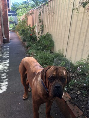 Áreas de la propiedad