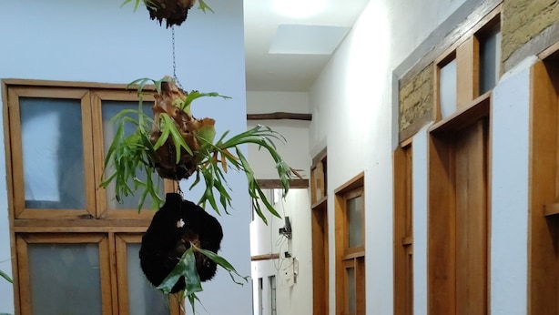 A hallway with tiled flooring, wooden doors, and hanging plants.