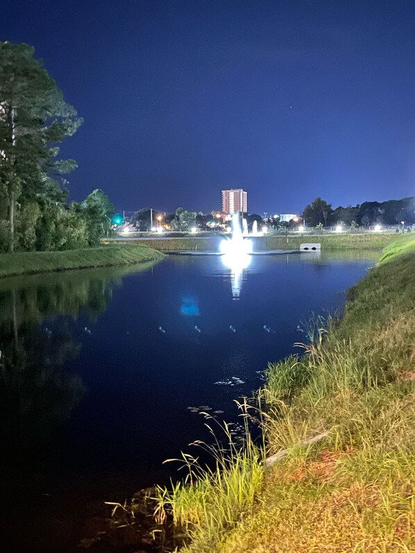Une vue nocturne d’une étendue d’eau calme, avec une fontaine au centre, entourée de berges verdoyantes et d’arbres.