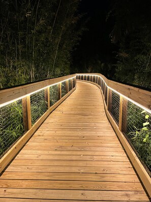 Walk along the boardwalk into the forest, surrounded by lush vegetation and a wooden railing.