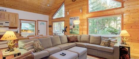 Televisión de pantalla plana, chimenea y libros