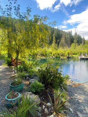 المنطقة المحيطة بالمنشأة