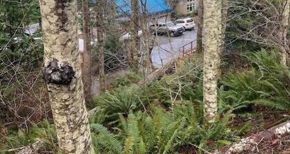 Hidden Pond Large Two Bedroom, Pet Friendly, with Hot Tub and Private Beach