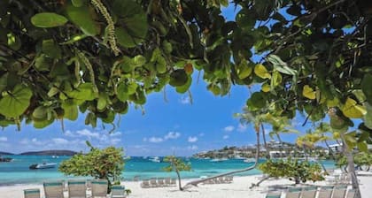 Family Luxury 3BR - Steps to Beach, Pool, Restaurants! Close to Red Hook.