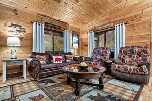 Smart TV, fireplace, video games, books