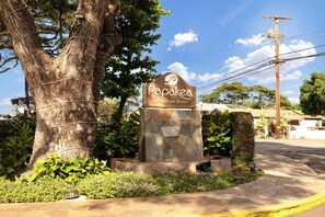 Condo, 1 quarto | Área da propriedade