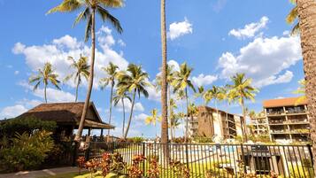 Condo, 1 Bedroom | Property grounds