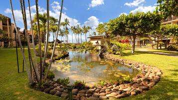 Lägenhet - 1 sovrum | Boendeområde