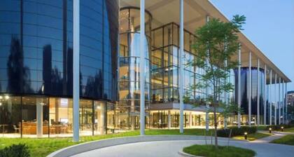 Casa Soleada in Heart of East Rock 3BR | Cozy King Bed | Near DT/Yale