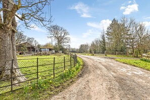 Property grounds - Bellflower Cottage - Ashdown Forest (Haywards Heath)