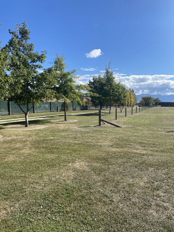 A grassy park area with trees and a fence.