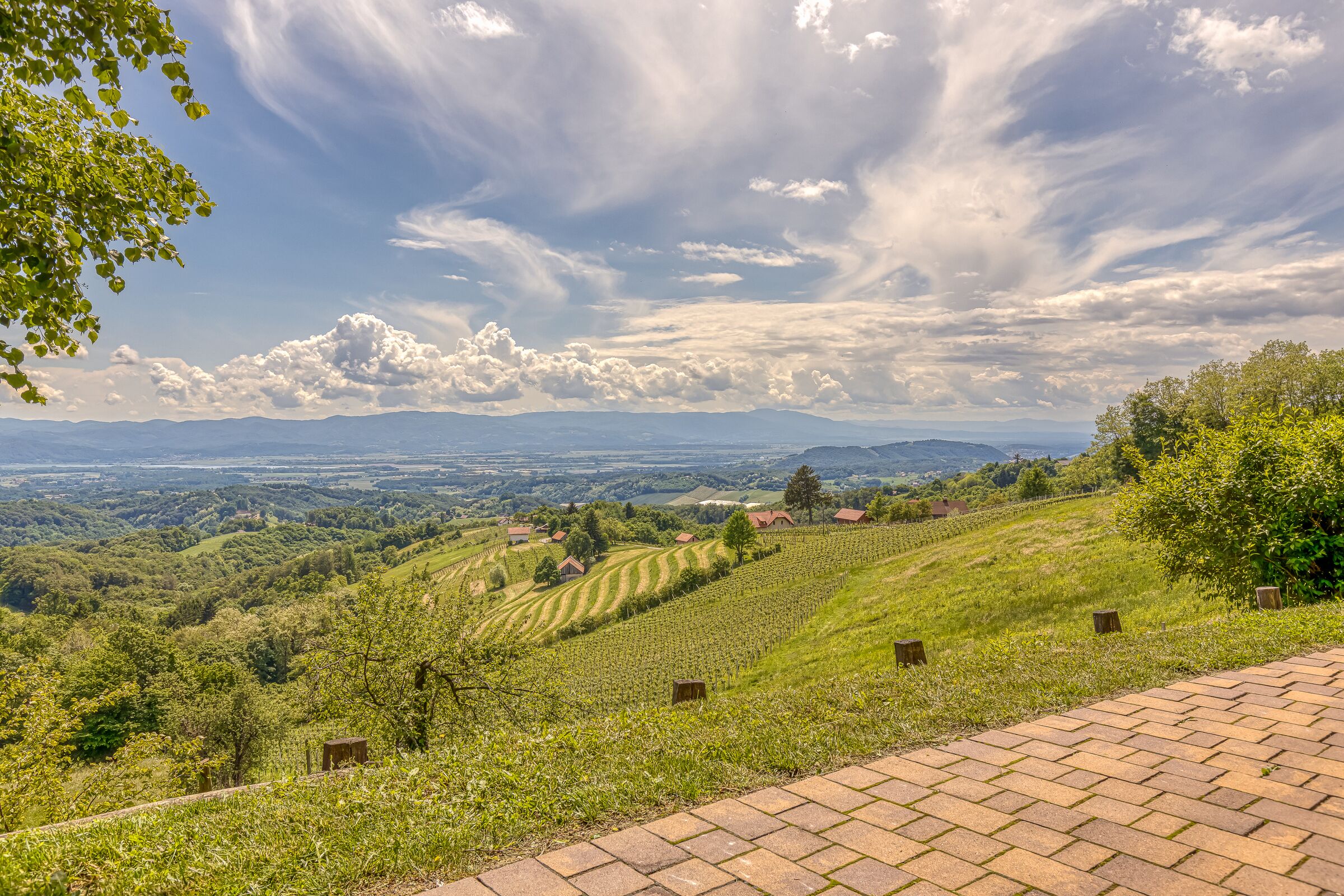 A vineyard landscape with terraced fields, a brick pathway, and distant mountains under a partly cloudy sky.