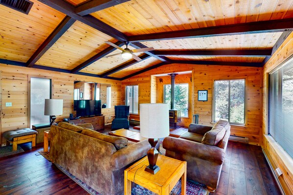 TV, fireplace, books