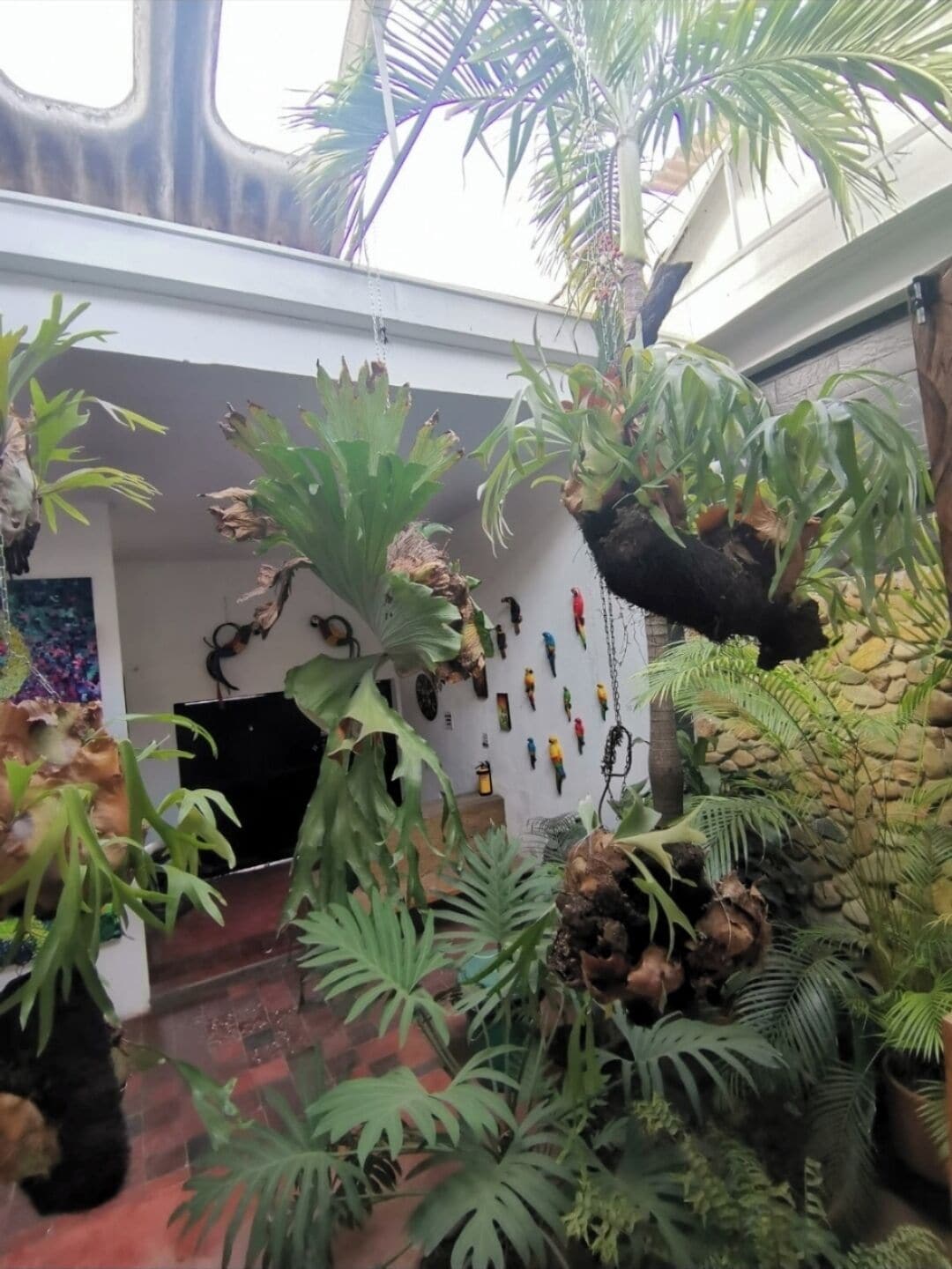 A room with a variety of potted plants, a stone wall, and a hanging chair.