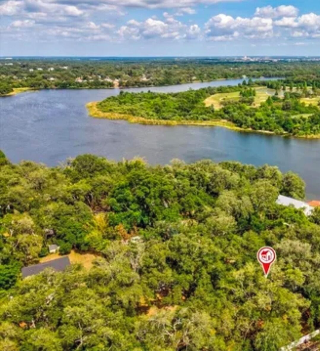 A river surrounded by dense greenery, a clear sky, and a red location marker.