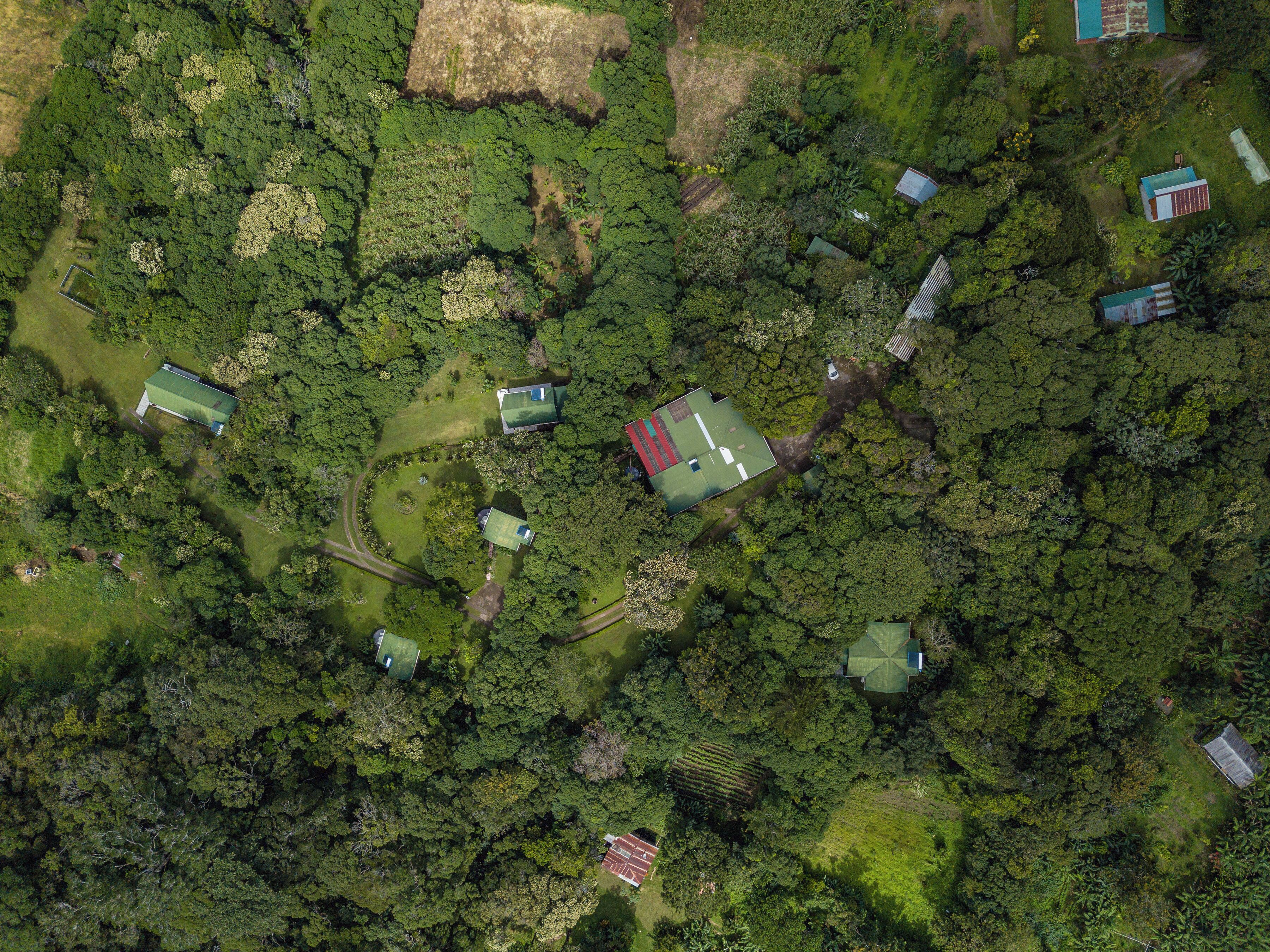 Vista aérea de una zona rural con varias construcciones pequeñas, incluyendo casas y un granero, rodeadas de un bosque denso.